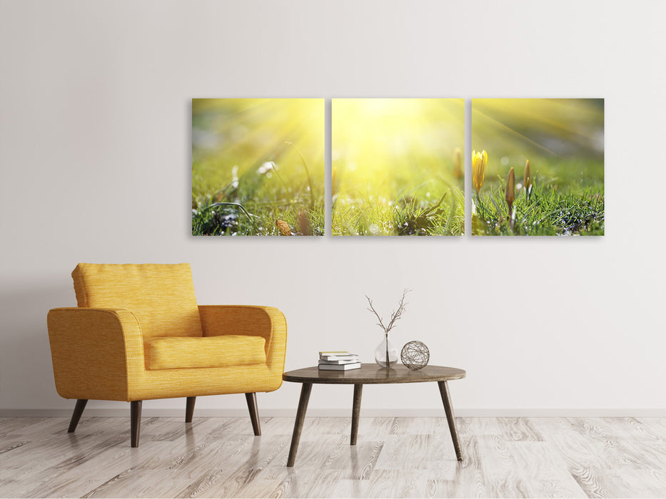 Panoramic 3-piece canvas picture Flowery meadow