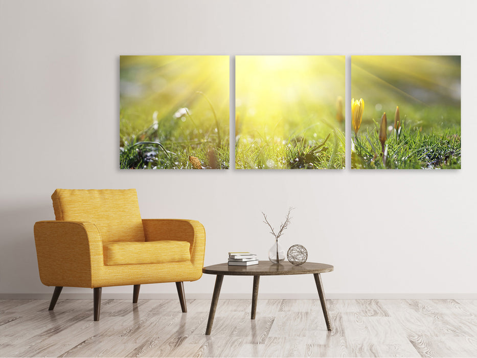 Panoramic 3-piece canvas picture Flowery meadow