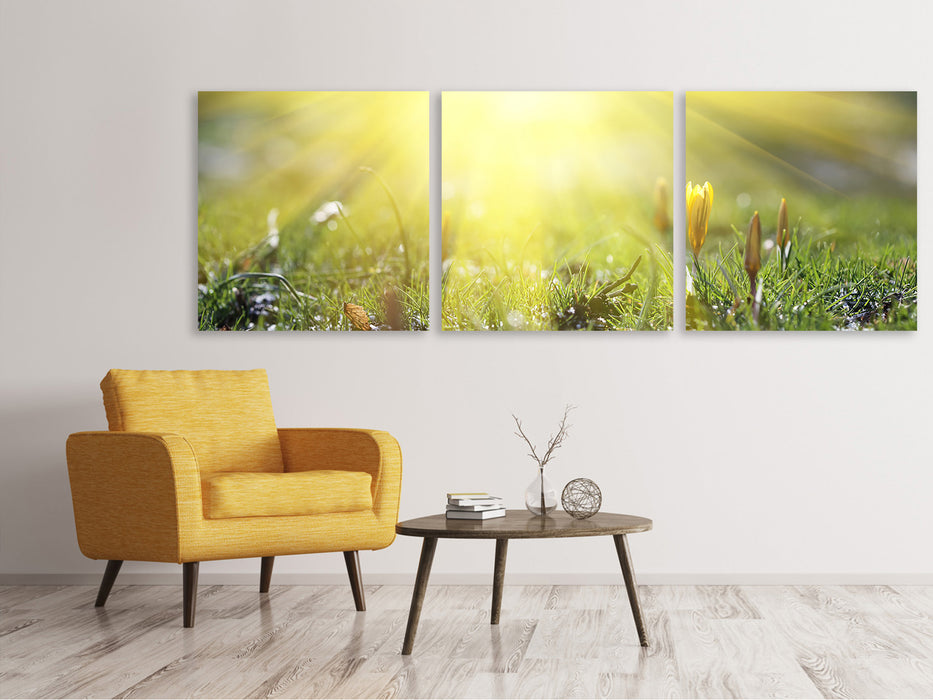 Panoramic 3-piece canvas picture Flowery meadow