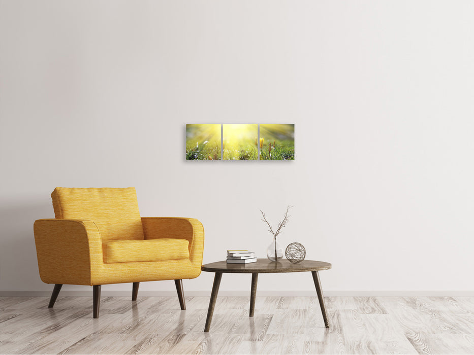 Panoramic 3-piece canvas picture Flowery meadow