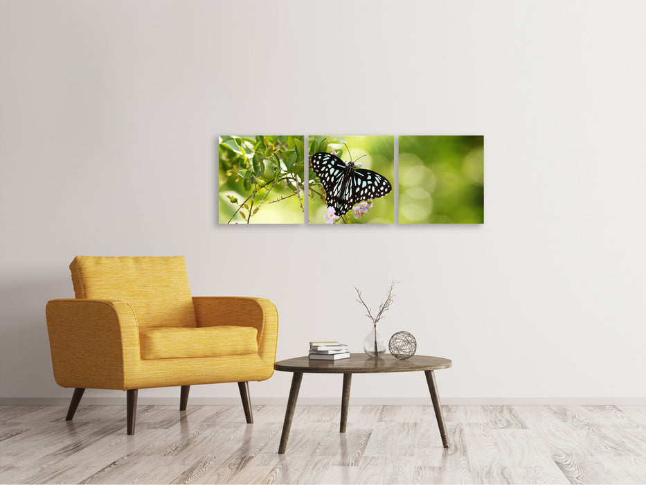 Panorama Leinwandbild 3-teilig Papilio Schmetterling XXL