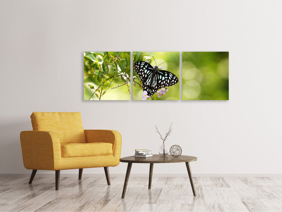 Panorama Leinwandbild 3-teilig Papilio Schmetterling XXL