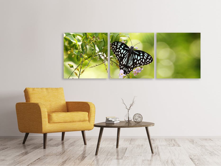 Panorama Leinwandbild 3-teilig Papilio Schmetterling XXL