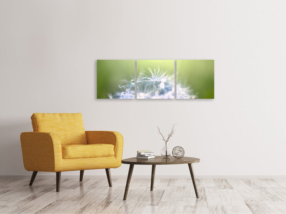 Panoramic 3-piece canvas picture Dandelion XL in the morning dew