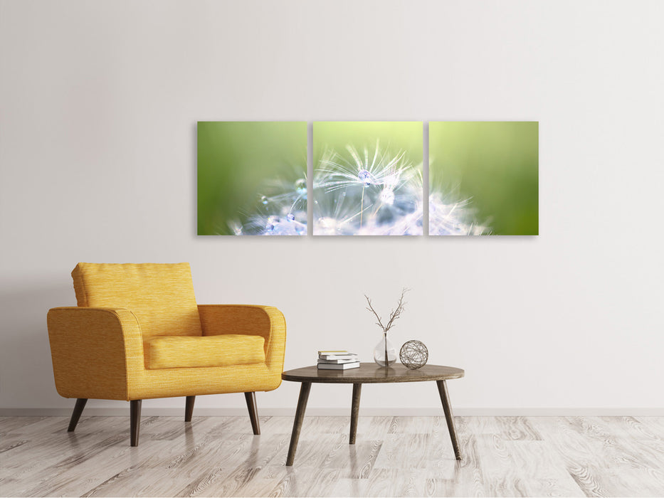 Panoramic 3-piece canvas picture Dandelion XL in the morning dew