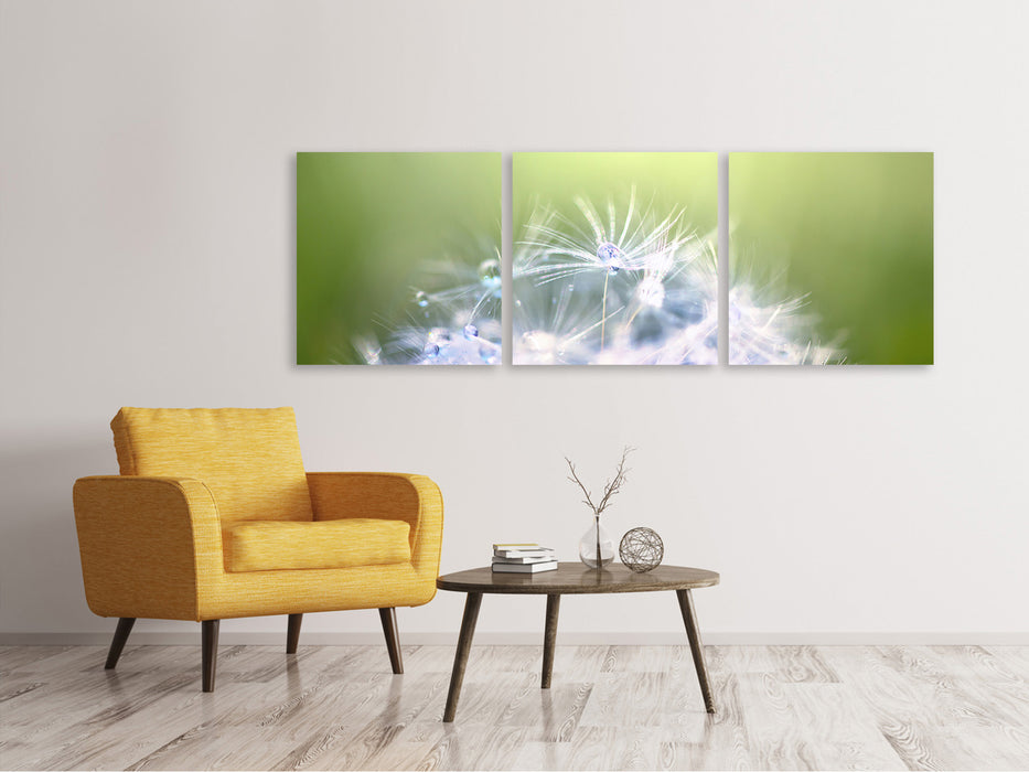 Panoramic 3-piece canvas picture Dandelion XL in the morning dew