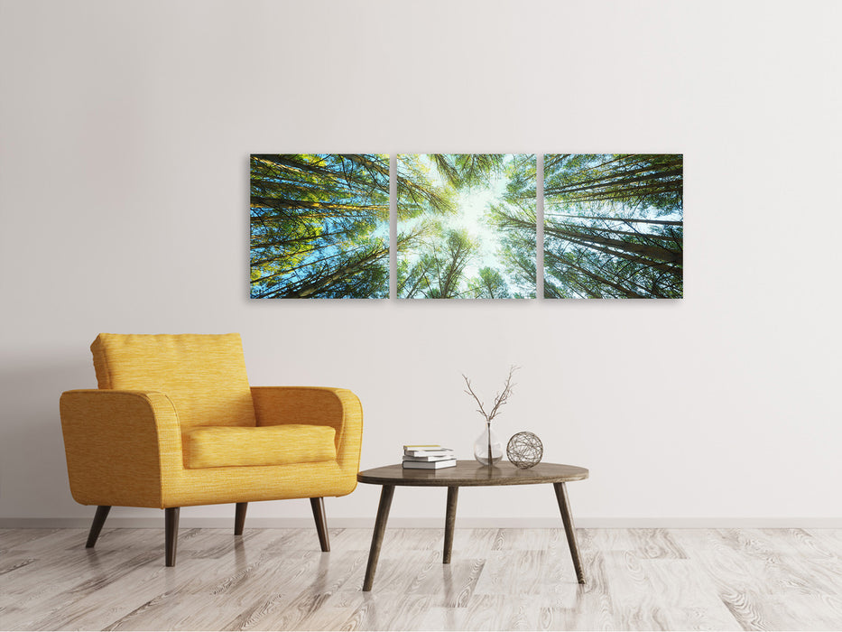 Panoramic 3-piece canvas picture pine forest