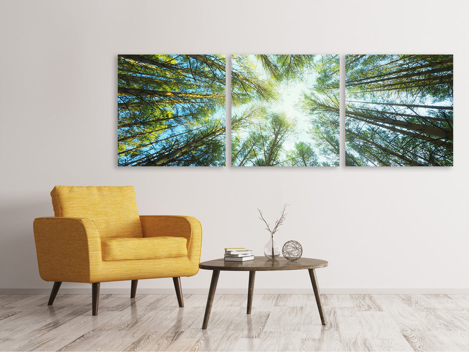 Panoramic 3-piece canvas picture pine forest