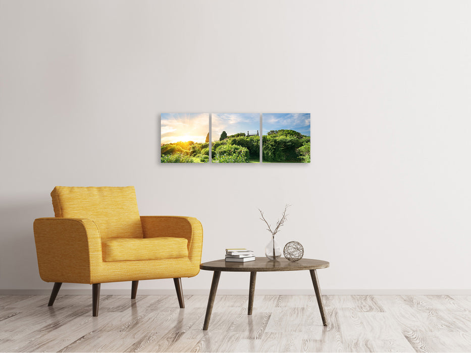 Panoramic 3-piece canvas picture Sunrise in the park