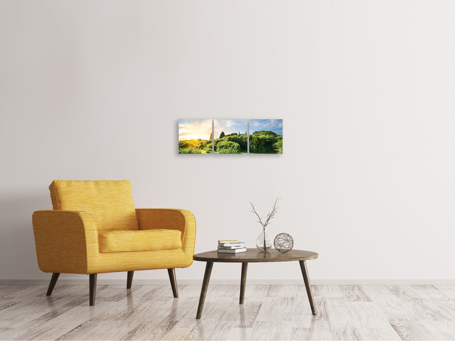 Panoramic 3-piece canvas picture Sunrise in the park