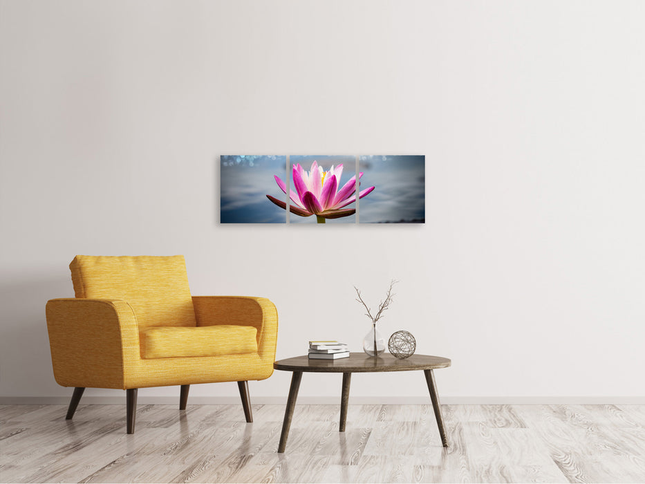 Panoramic 3-piece canvas picture Lotus in the morning dew