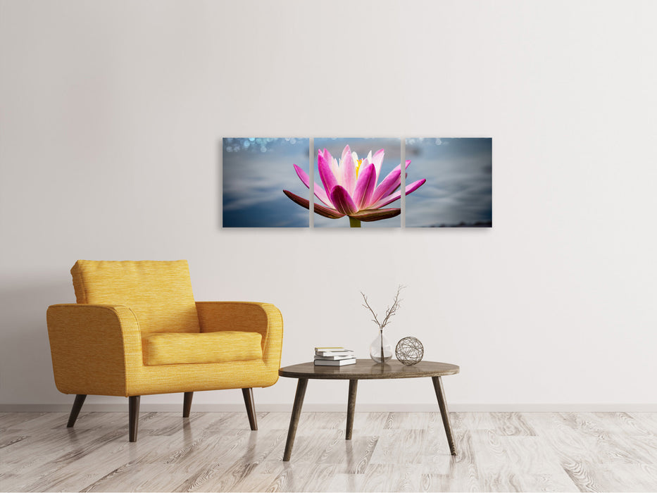 Panoramic 3-piece canvas picture Lotus in the morning dew