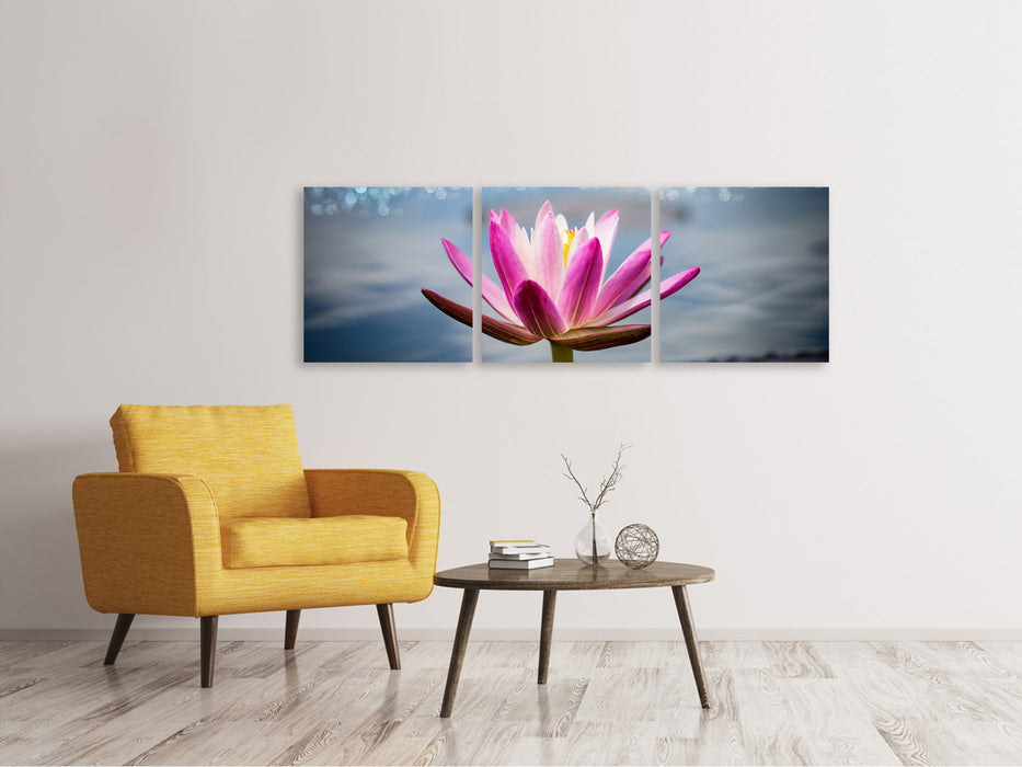 Panoramic 3-piece canvas picture Lotus in the morning dew