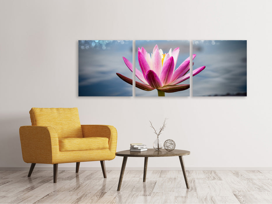 Panoramic 3-piece canvas picture Lotus in the morning dew