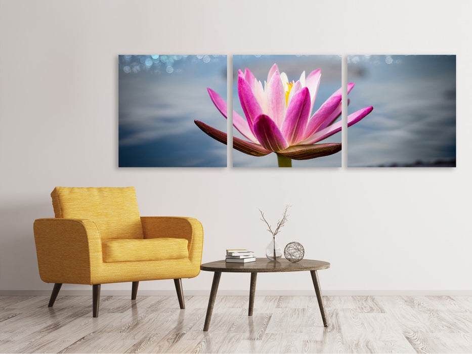 Panoramic 3-piece canvas picture Lotus in the morning dew