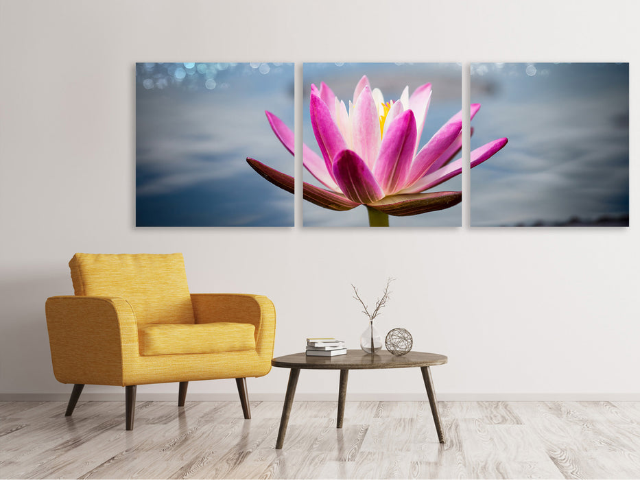 Panoramic 3-piece canvas picture Lotus in the morning dew