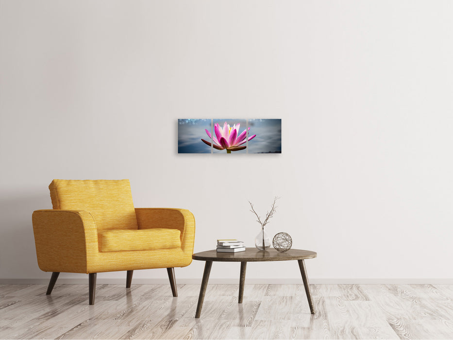 Panoramic 3-piece canvas picture Lotus in the morning dew