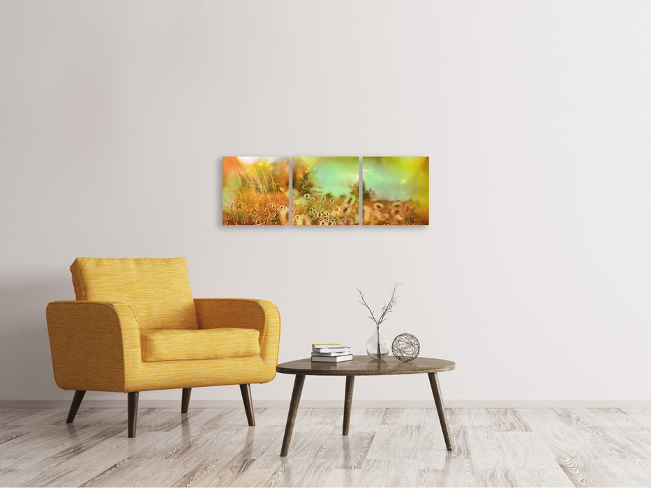 Panoramic 3-piece canvas picture of flower meadow at dusk