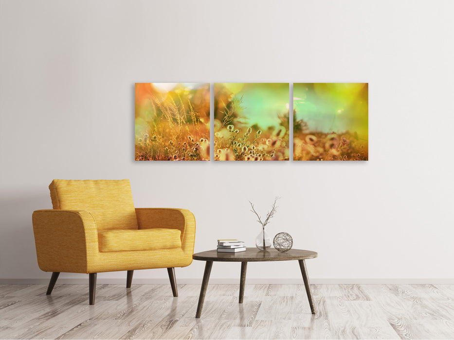 Panoramic 3-piece canvas picture of flower meadow at dusk