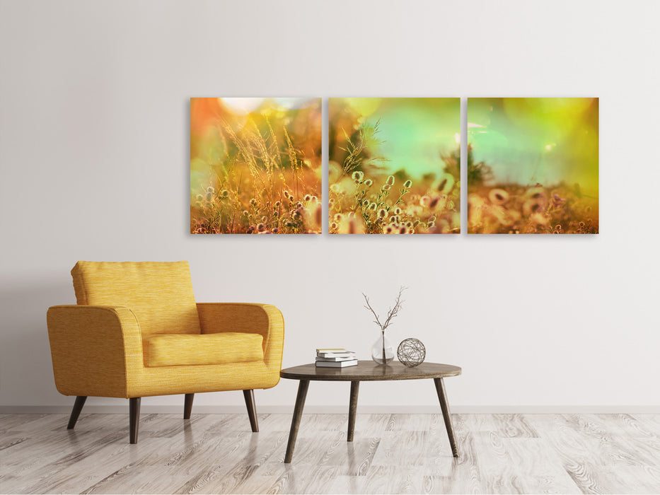 Panoramic 3-piece canvas picture of flower meadow at dusk