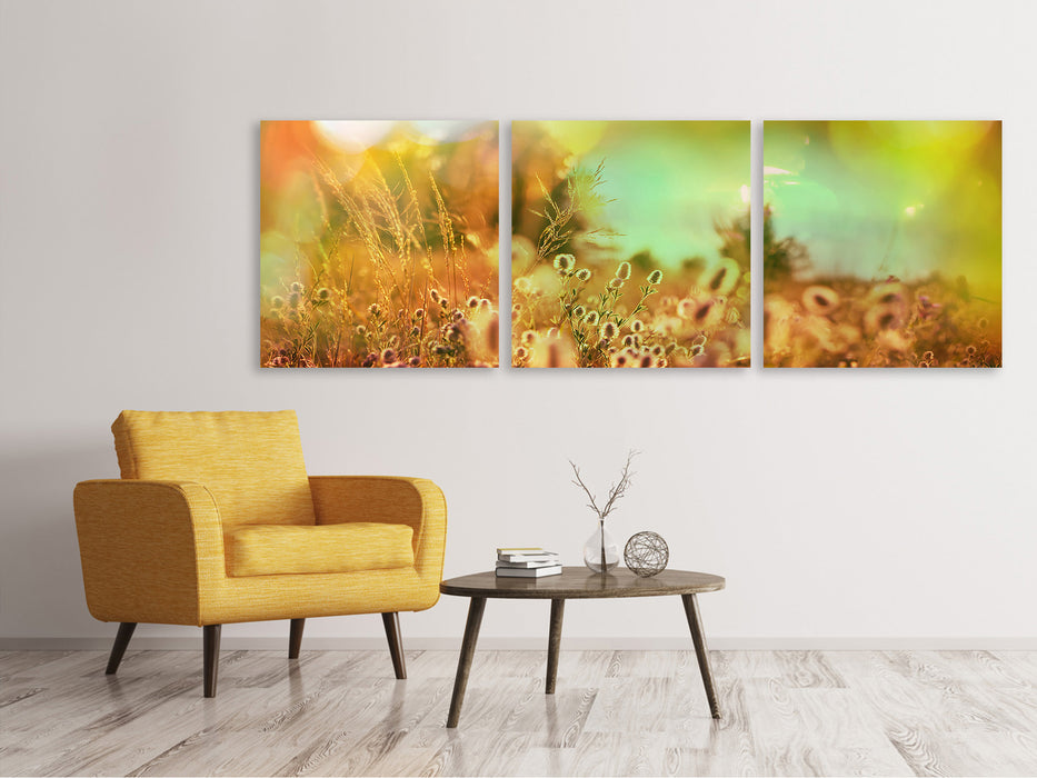 Panoramic 3-piece canvas picture of flower meadow at dusk