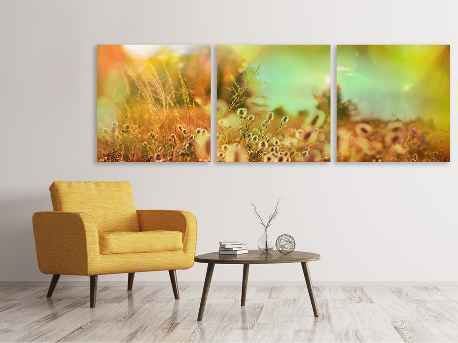 Panoramic 3-piece canvas picture of flower meadow at dusk