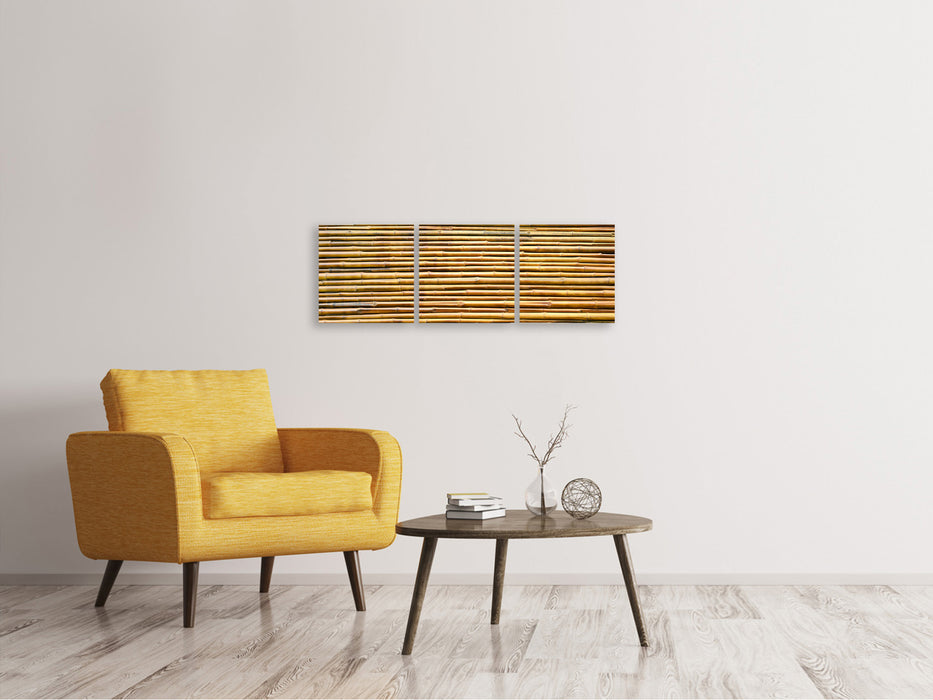 Panorama 3-piece canvas picture bamboo