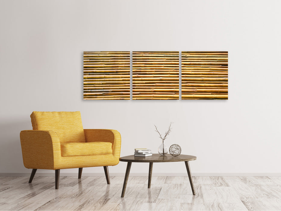 Panorama 3-piece canvas picture bamboo