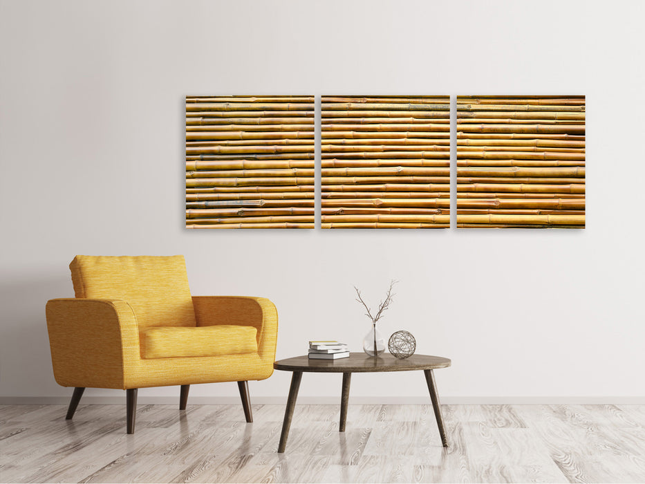 Panorama 3-piece canvas picture bamboo