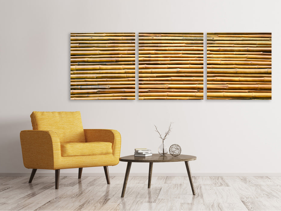 Panorama 3-piece canvas picture bamboo