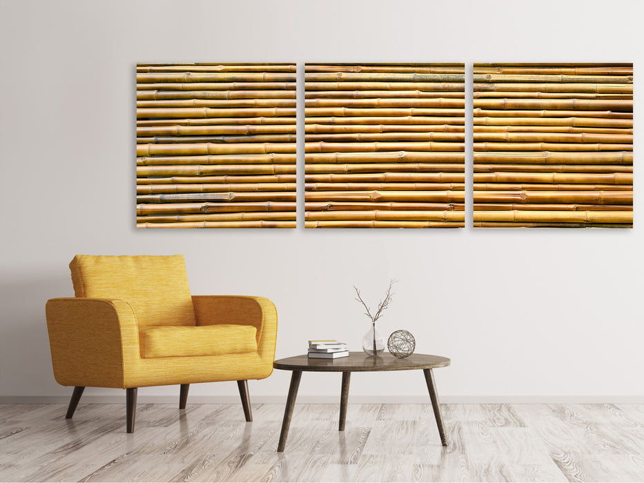 Panorama 3-piece canvas picture bamboo