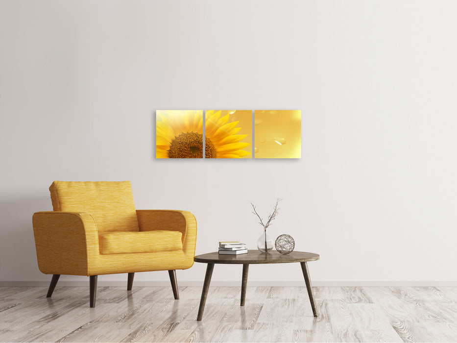 Panoramic 3-piece canvas picture Sunflower in the morning dew