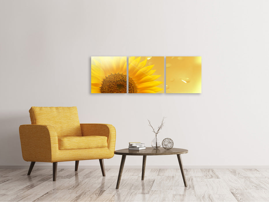 Panoramic 3-piece canvas picture Sunflower in the morning dew