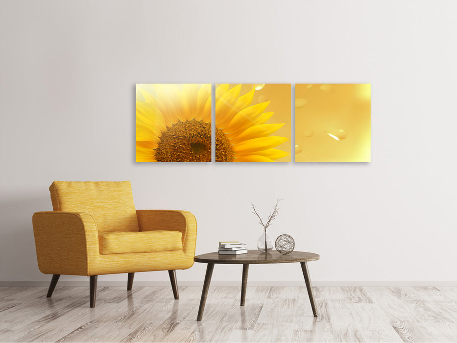 Panoramic 3-piece canvas picture Sunflower in the morning dew