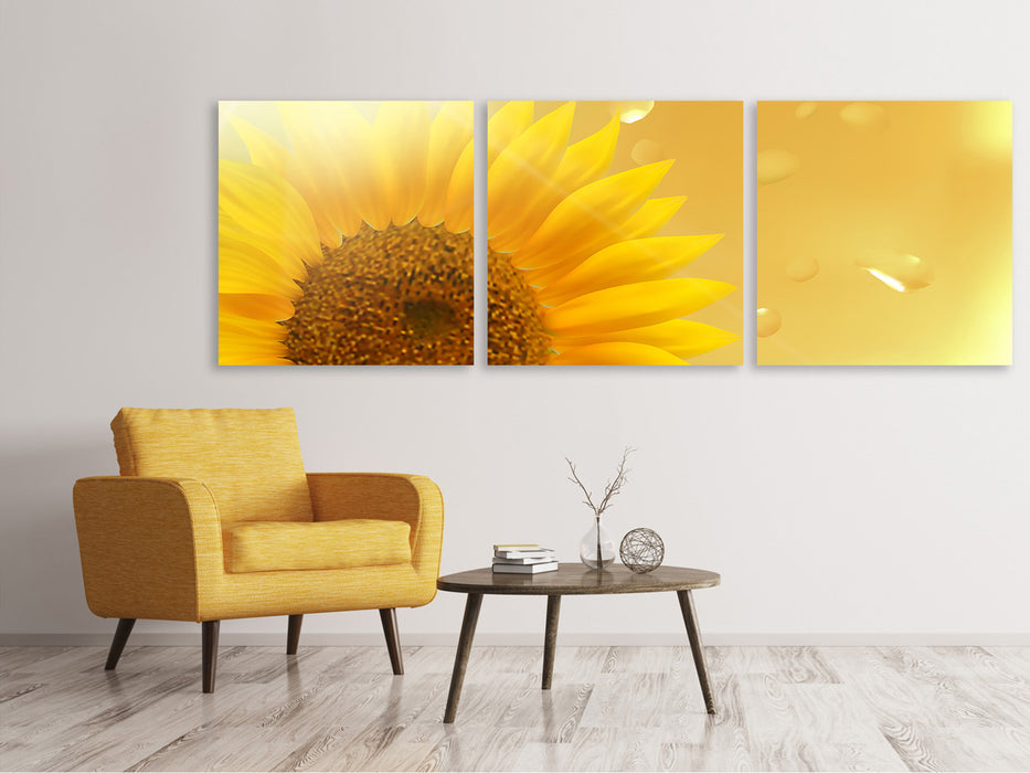 Panoramic 3-piece canvas picture Sunflower in the morning dew