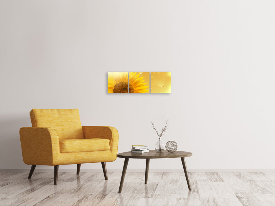 Panoramic 3-piece canvas picture Sunflower in the morning dew