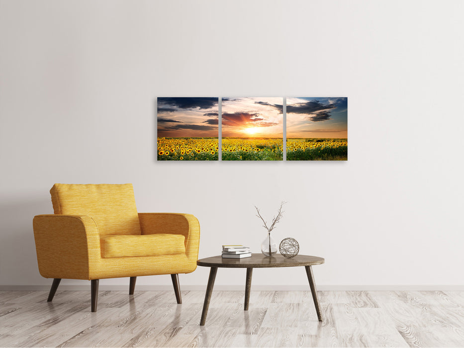 Panoramic 3-piece canvas picture A field of sunflowers