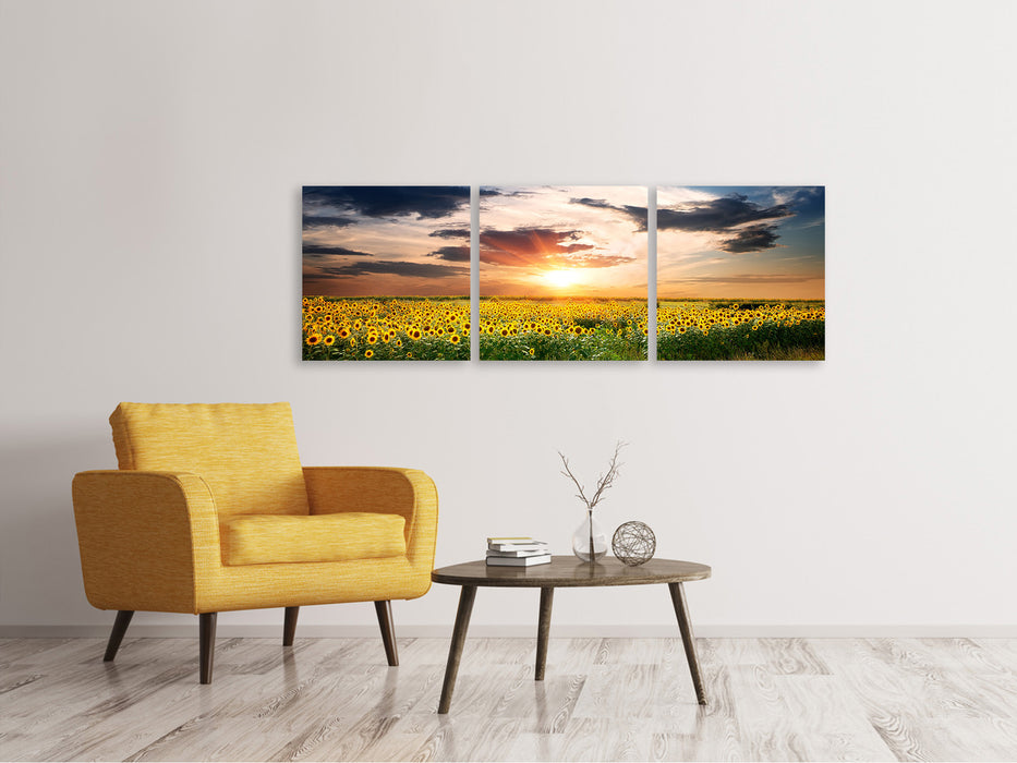 Panoramic 3-piece canvas picture A field of sunflowers