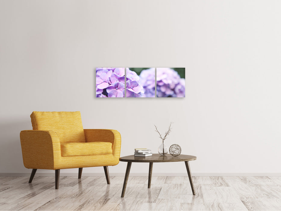 Panoramic 3-piece canvas picture hydrangeas