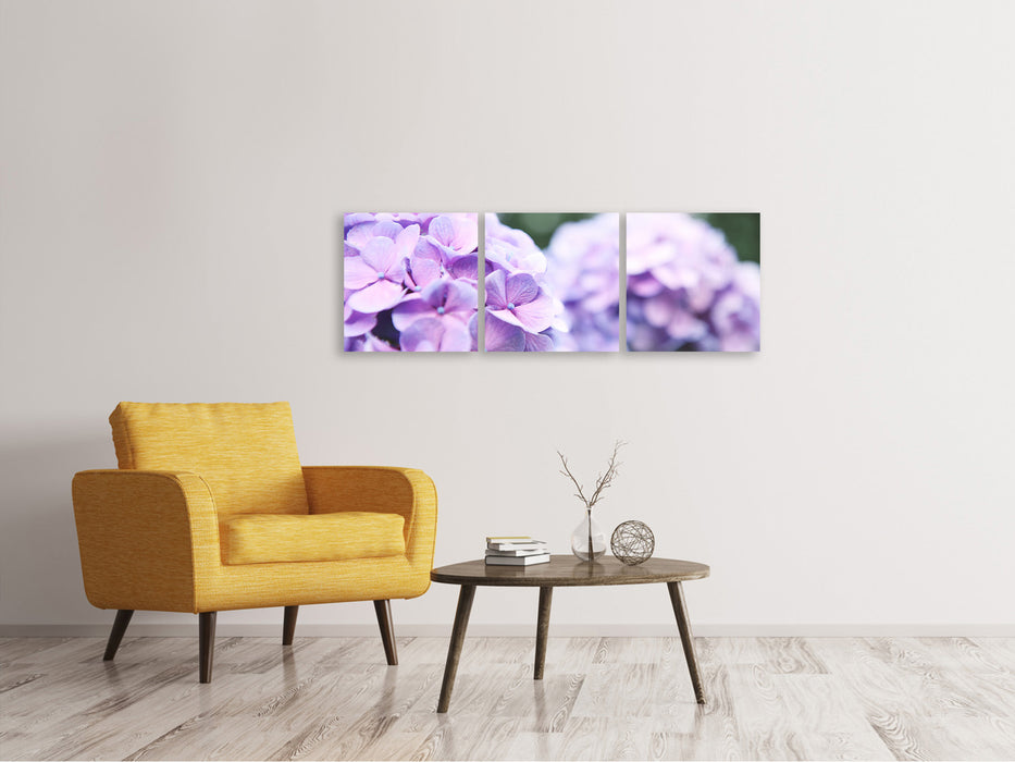 Panoramic 3-piece canvas picture hydrangeas