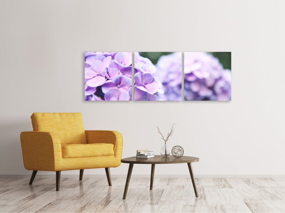 Panoramic 3-piece canvas picture hydrangeas