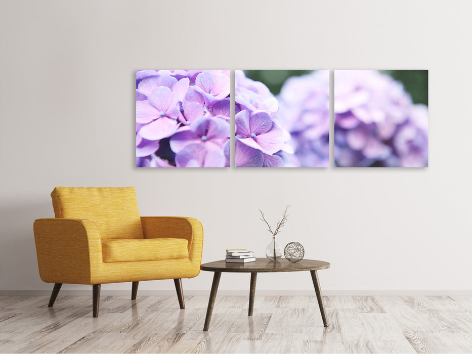 Panoramic 3-piece canvas picture hydrangeas