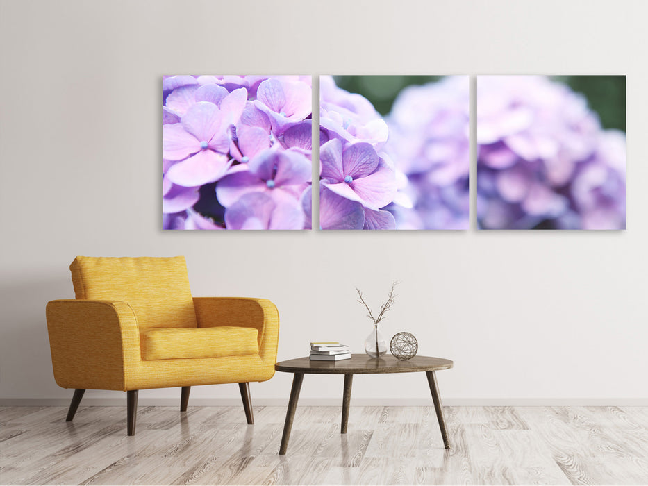 Panoramic 3-piece canvas picture hydrangeas