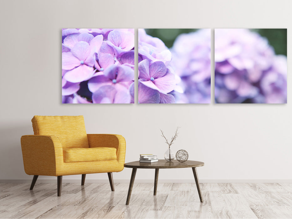 Panoramic 3-piece canvas picture hydrangeas