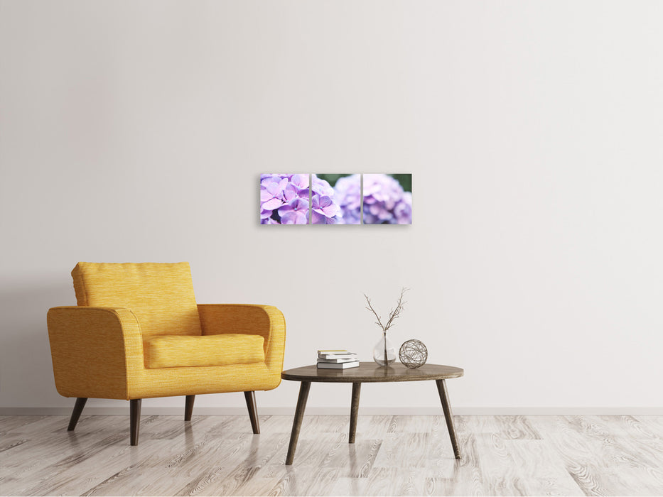 Panoramic 3-piece canvas picture hydrangeas