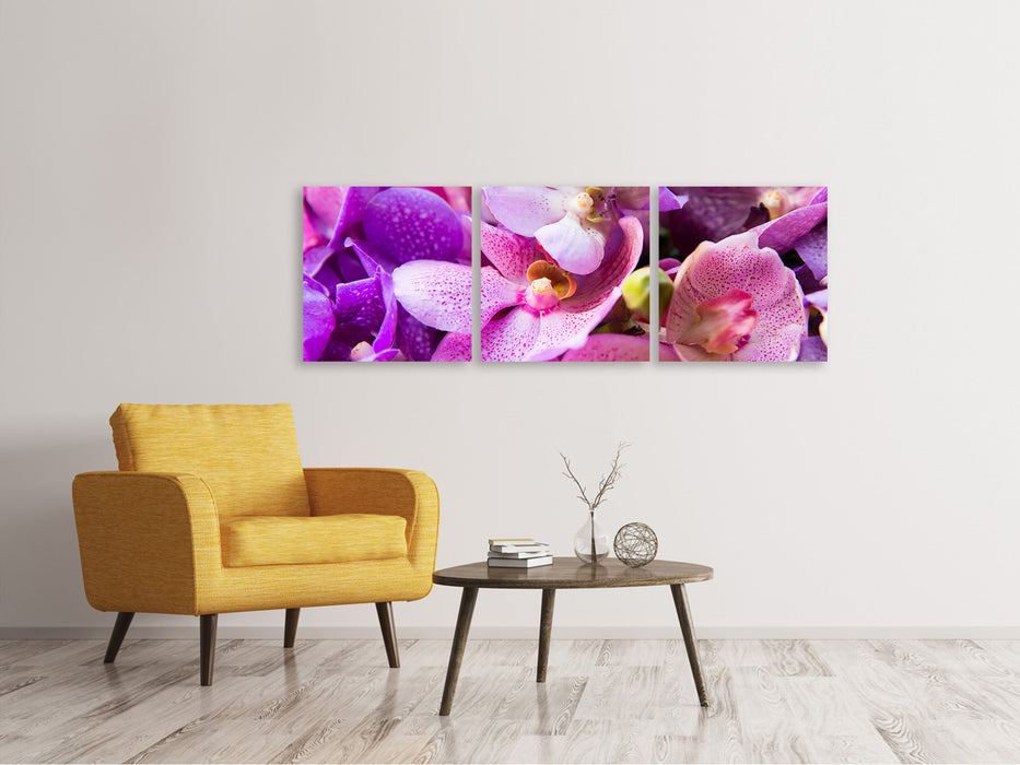 Panorama Leinwandbild 3-teilig Im Orchideenparadies