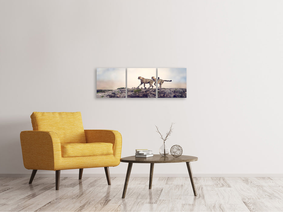 Panoramic 3-piece canvas picture Two cheetahs