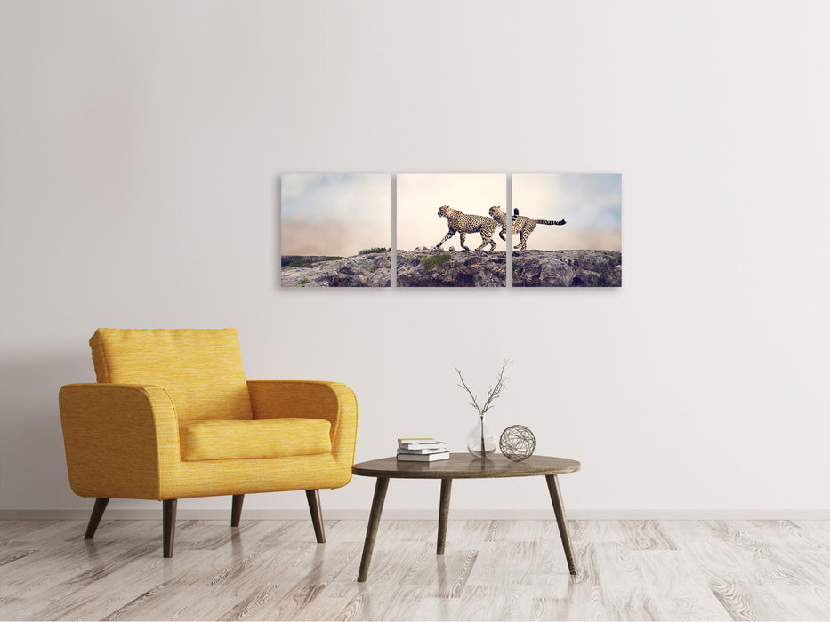 Panoramic 3-piece canvas picture Two cheetahs