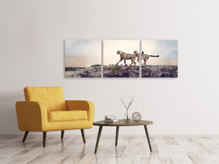 Panoramic 3-piece canvas picture Two cheetahs