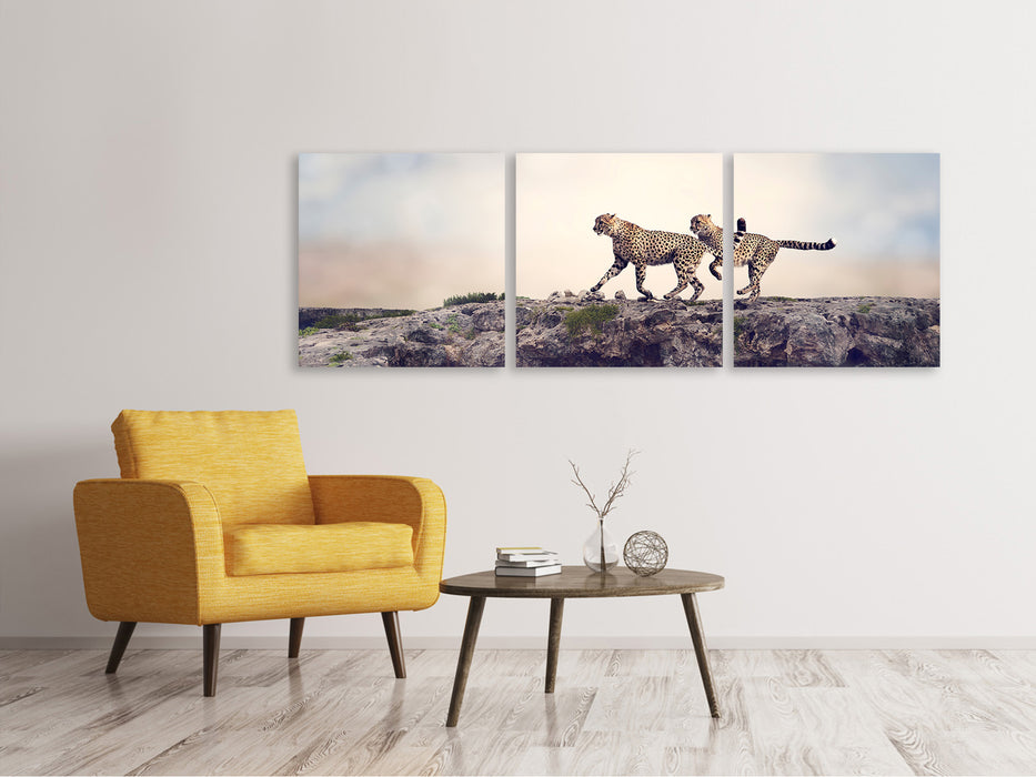 Panoramic 3-piece canvas picture Two cheetahs